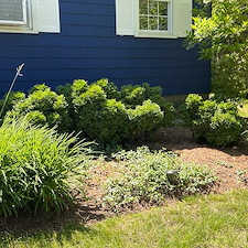 Main Image Gallery 4