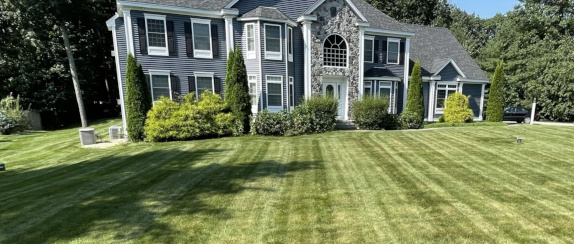 Lawn Maintenance Service